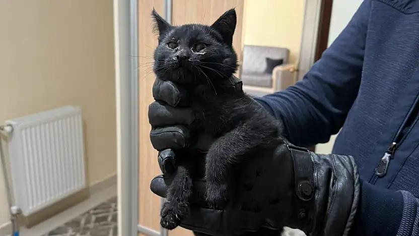 Konya'da bacaya giren kedi için 6 saatlik seferberlik