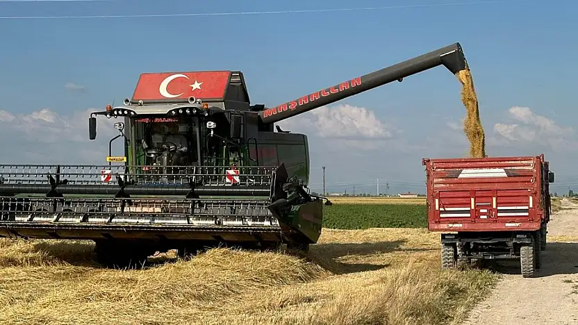 Konya'da hasat zamanı! İlk görüntüler maşallah dedirtti!