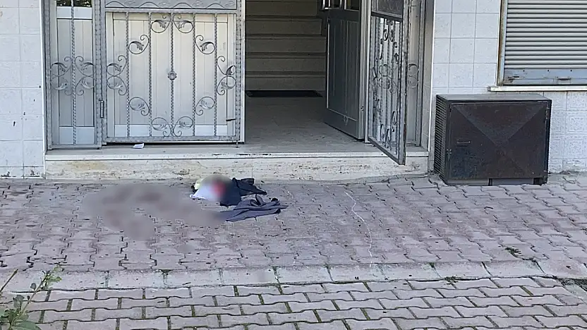Konya'da kedi tüyü yüzünden komşusunu yüzünden bıçakladı! 2 yaralı...