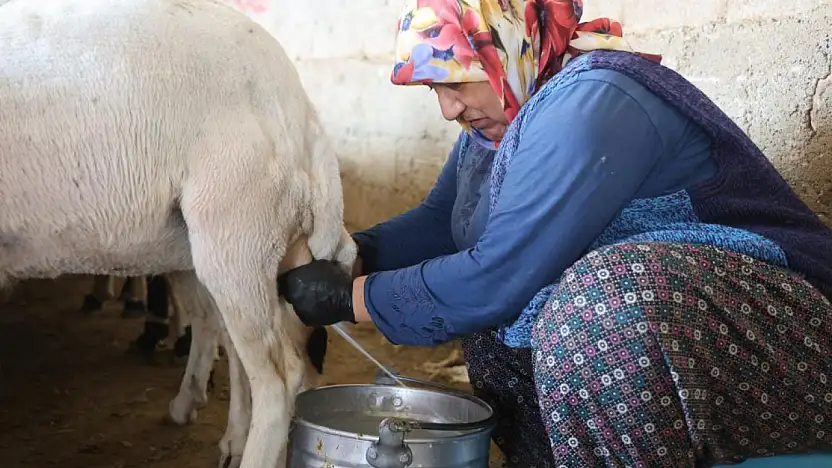Konya'da kırsalda kadının emeği ekonomiye can veriyor!