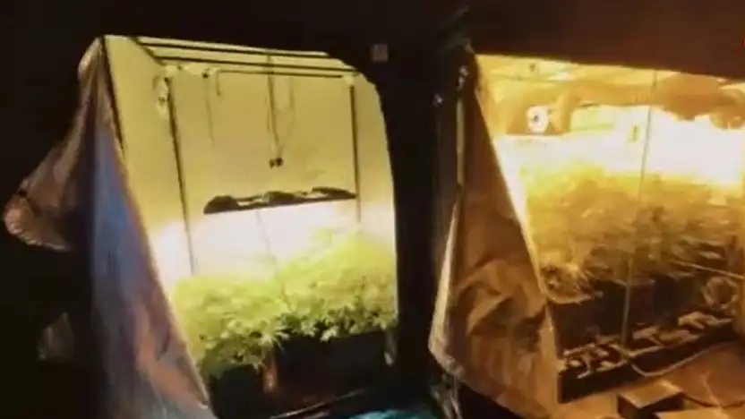 Konya dahil 23 ilde şafak operasyonu: 6 milyon hap yakalandı!