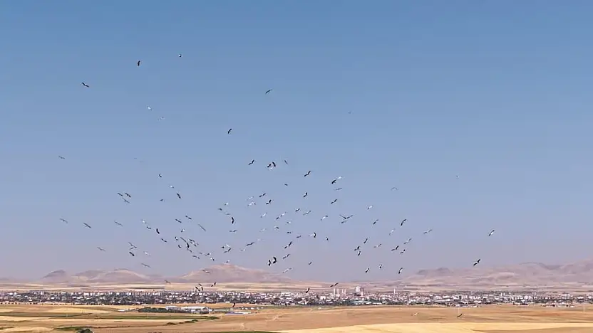 Konya'daki Düden Gölü'nde büyüleyen görüntü!