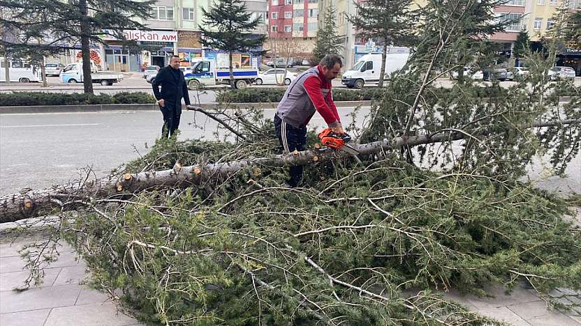 Konya'nın o ilçesinde fırtına nedeniyle okullar tatil edildi! Resmi açıklama geldi