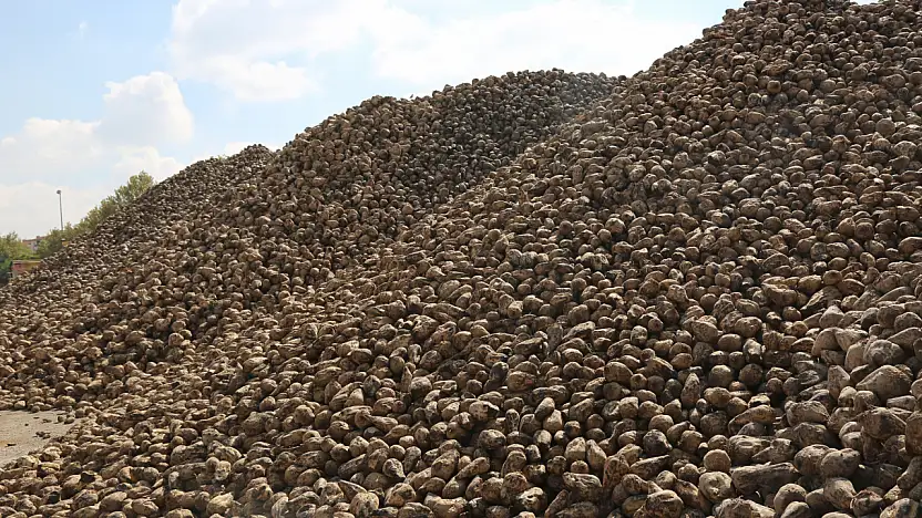 Konya Şeker'den ekonomiye dev katkı: 496 bin ton şeker üretildi!