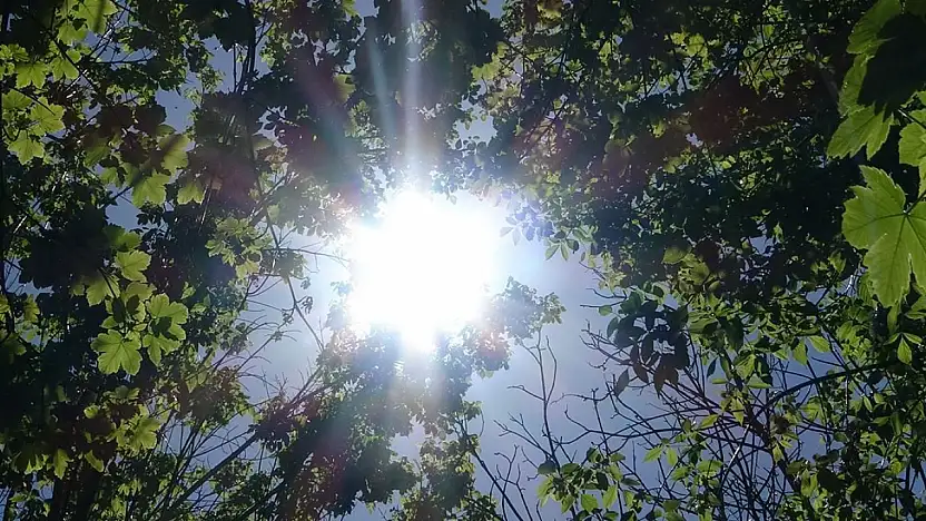 Konya'ya kısa süreli bahar geliyor! 12 dereceye kadar çıkacak