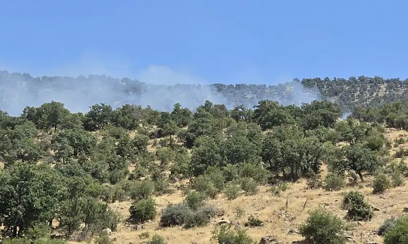 AKOM, Konya'daki yangında son durumu açıkladı: 55 personel müdahale ediyor!