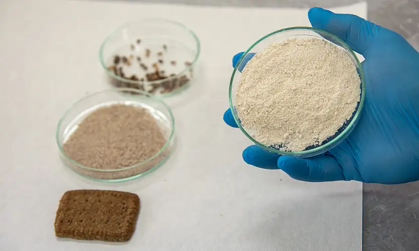 Bildiğiniz tüm atıştırmalıkları unutun! Konya'da üretilen bu bisküvi hücre yeniliyor!