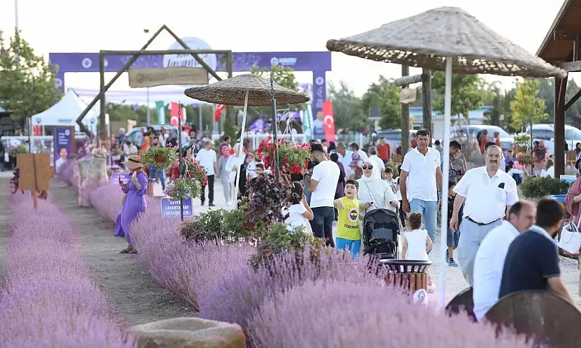 Fotoğraf tutkunları buraya! 'Karatay Lavanta Günleri' başlıyor! O tarihlere dikkat...