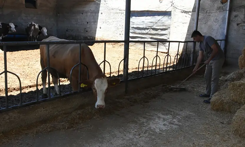 Geleceği memleketinde gördü: Konyalı genç bakanlık desteğiyle hayvancılıkta vites yükseltti