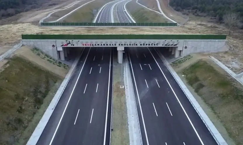 Konya-Aksaray yolunda dikkat çeken plan! Doğal yaşam korunacak