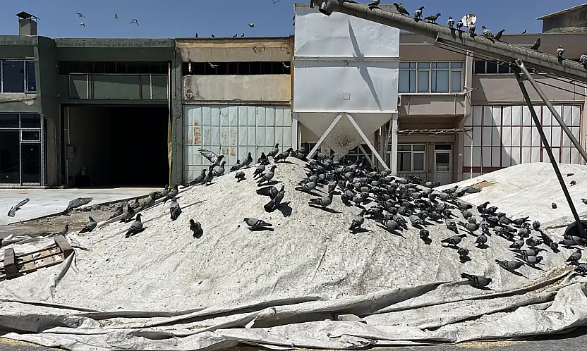 Konya Buğday Pazarı'nın bereketi oldular: Esnaftan örnek davranış!
