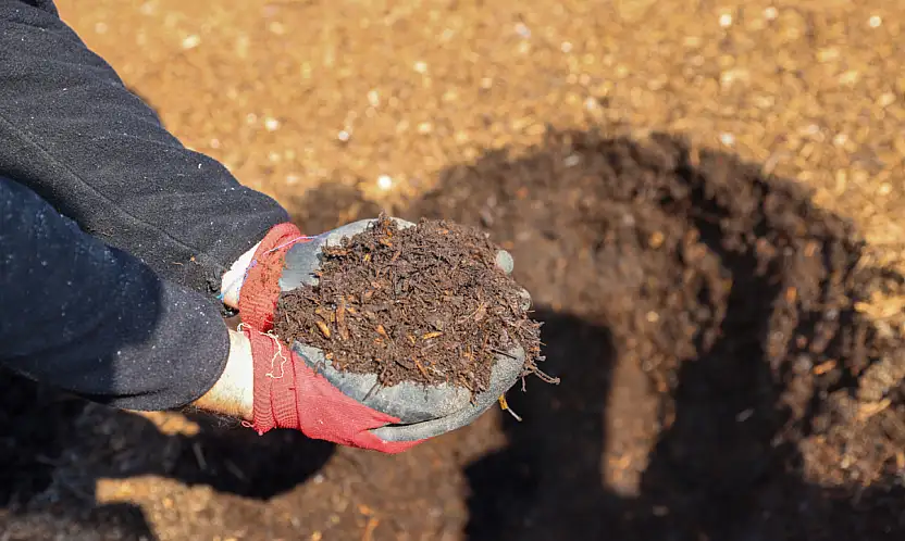 Konya'da çöpten gelen mucize! Selçuklu'nun bu projesi geleceğe nefes olacak