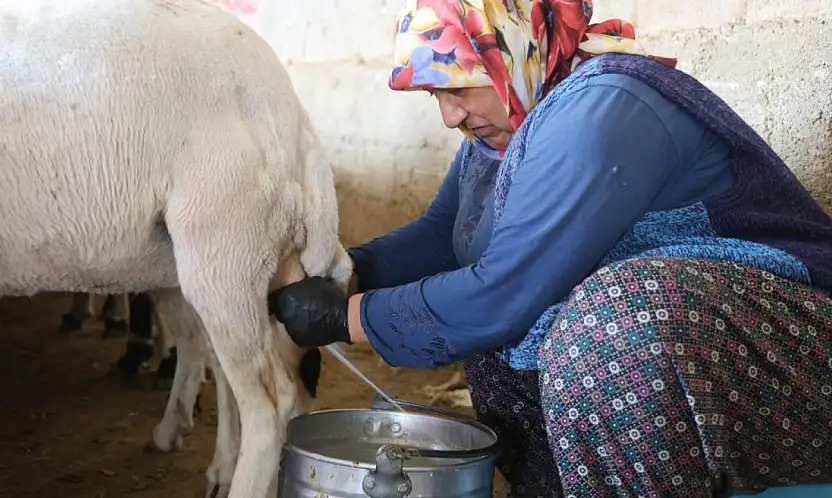 Konya'da kırsalda kadının emeği ekonomiye can veriyor!