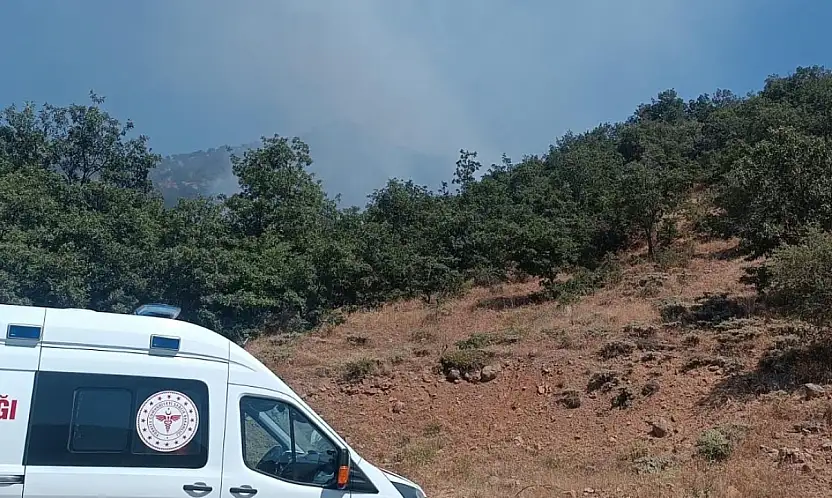 Konya'da ormanlık alanda yangın çıktı: Rüzgar alevleri büyüttü!