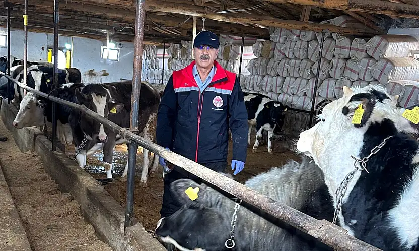 Konya'da şap ve brusella operasyonu: İkinci doz aşılar başladı!