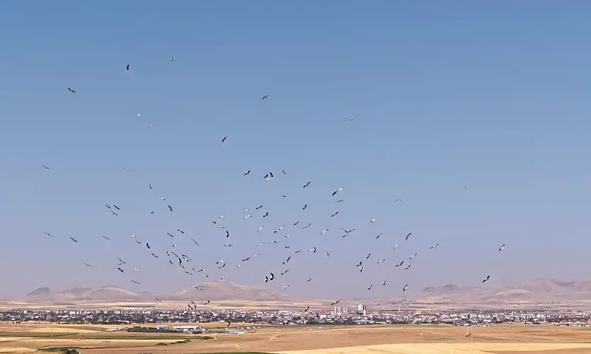Konya'daki Düden Gölü'nde büyüleyen görüntü!