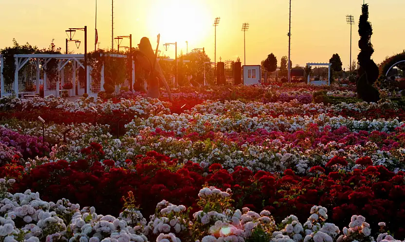 Konya'nın gül cenneti kapılarını açtı! 190 çeşitle görsel şölen sunuyor