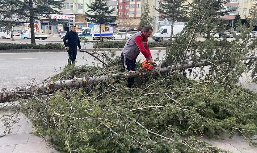 Konya'nın o ilçesinde fırtına nedeniyle okullar tatil edildi! Resmi açıklama geldi