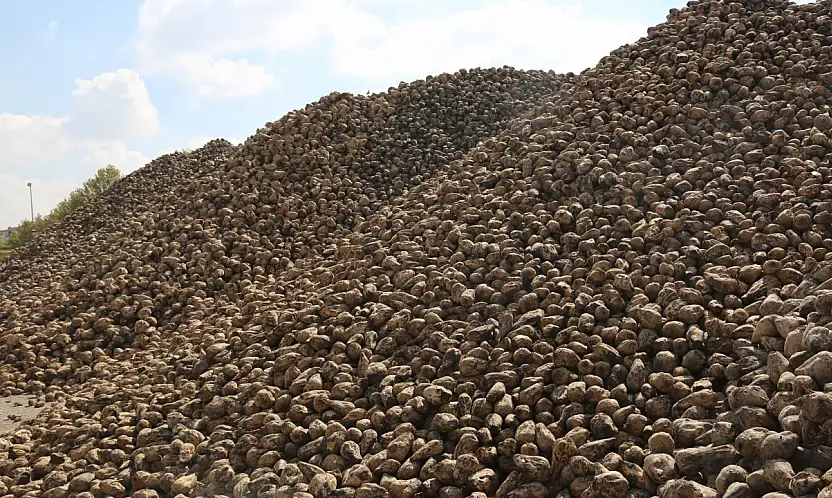 Konya Şeker'den ekonomiye dev katkı: 496 bin ton şeker üretildi!