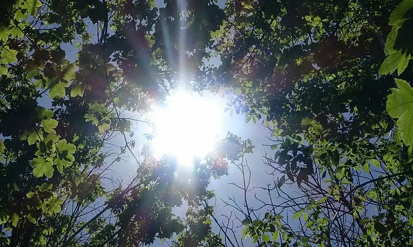 Konya'ya kısa süreli bahar geliyor! 12 dereceye kadar çıkacak