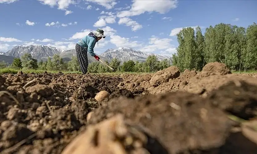 TÜİK rakamları doğruladı: Konya'da erkek nüfusu geride kaldı!