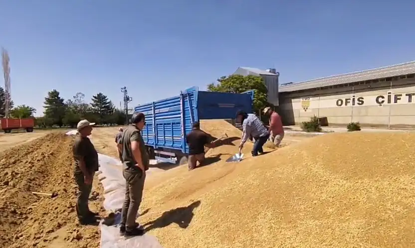 TMO Konya'da tarihi rekor: 92 noktada 2 milyon ton ürün teslim alındı!